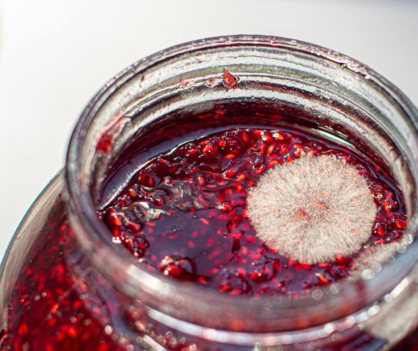 Moho inofensivo: Qué alimentos en mal estado se pueden comer con seguridad Moho inofensivo: Qué alimentos en mal estado se pueden comer con seguridad