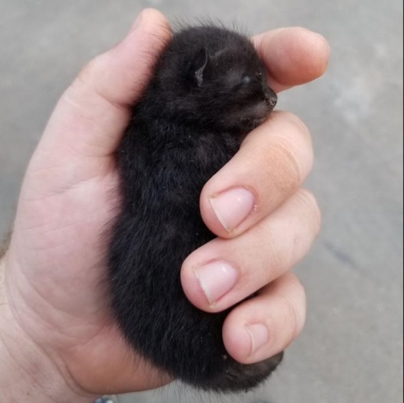 Momentos de pura alegría: 22 fotos que llenarán tu corazón de calidez Momentos de pura alegría: 22 fotos que llenarán tu corazón de calidez