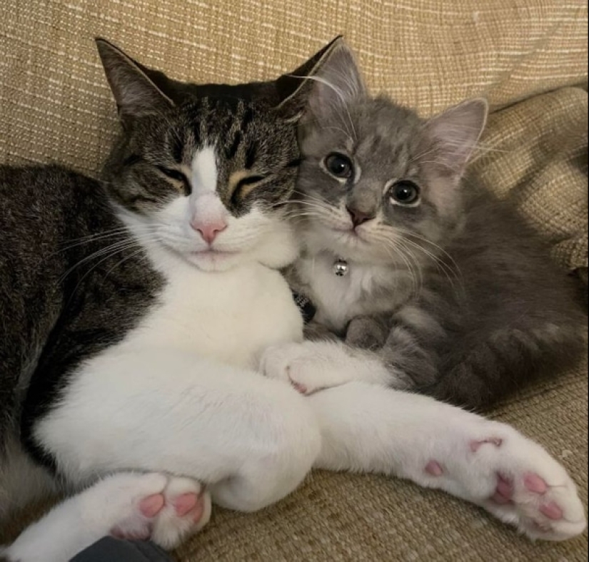 Momentos de pura alegría: 22 fotos que llenarán tu corazón de calidez Momentos de pura alegría: 22 fotos que llenarán tu corazón de calidez