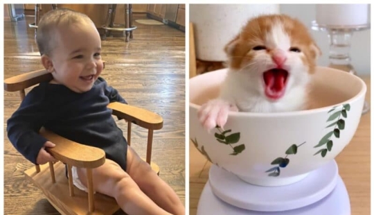 Momentos de pura alegría: 22 fotos que llenarán tu corazón de calidez Momentos de pura alegría: 22 fotos que llenarán tu corazón de calidez