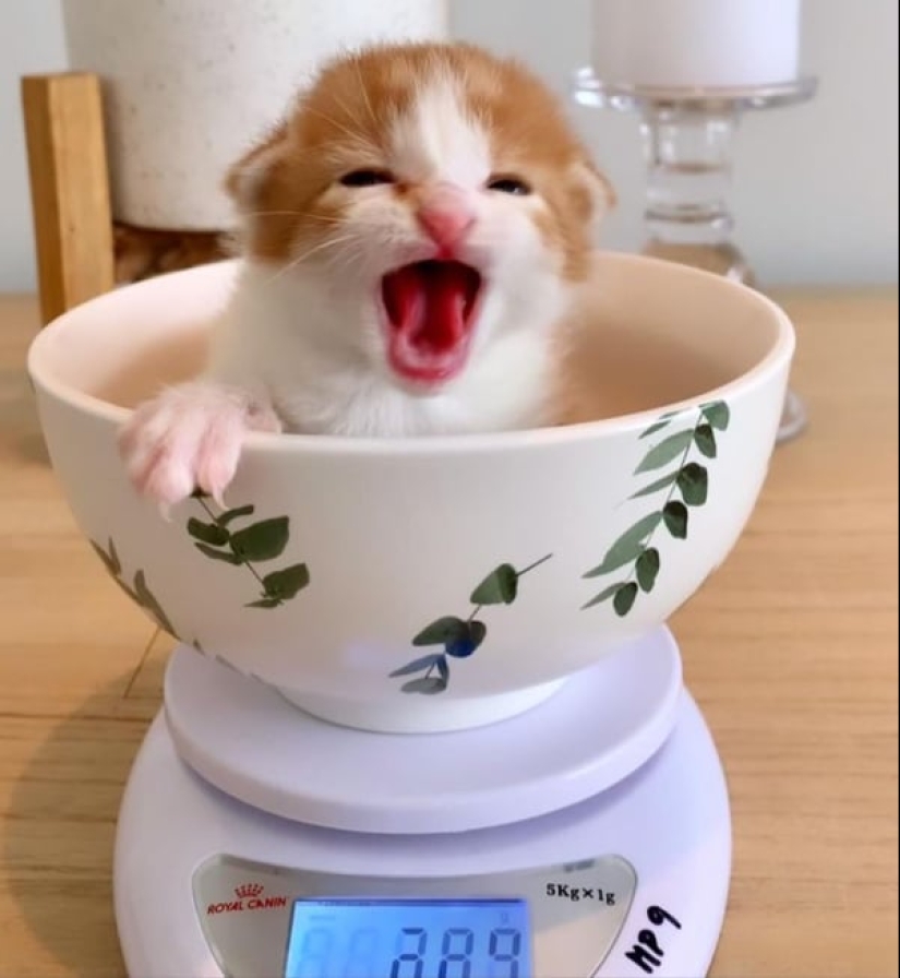 Momentos de pura alegría: 22 fotos que llenarán tu corazón de calidez Momentos de pura alegría: 22 fotos que llenarán tu corazón de calidez