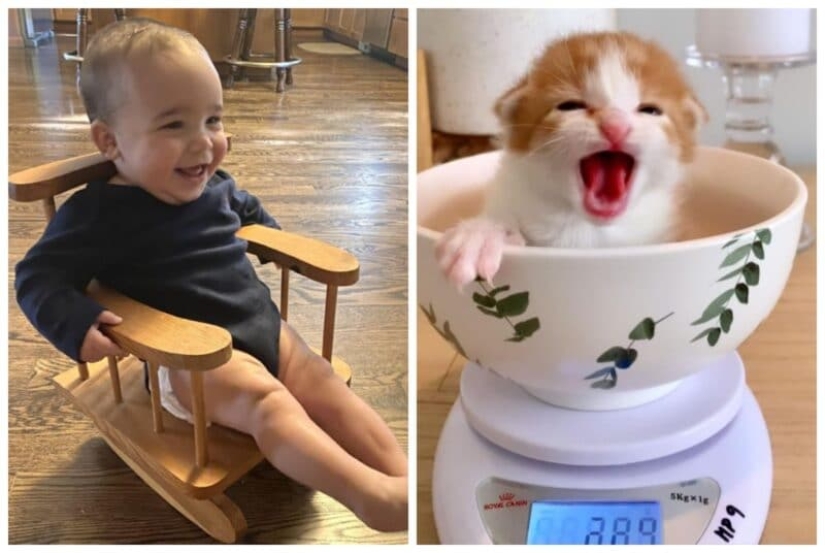 Moments of pure joy: 22 photos that will fill your heart with warmth Moments of pure joy: 22 photos that will fill your heart with warmth