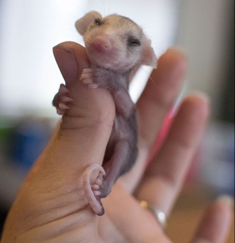 Moments of pure joy: 22 photos that will fill your heart with warmth Moments of pure joy: 22 photos that will fill your heart with warmth