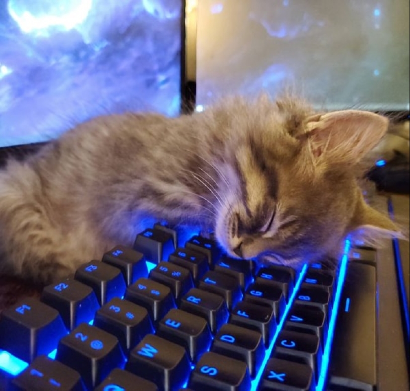 Moments of pure joy: 22 photos that will fill your heart with warmth Moments of pure joy: 22 photos that will fill your heart with warmth