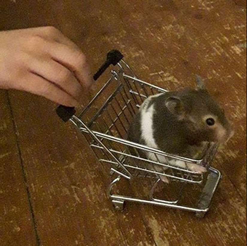 Moments of pure joy: 22 photos that will fill your heart with warmth Moments of pure joy: 22 photos that will fill your heart with warmth