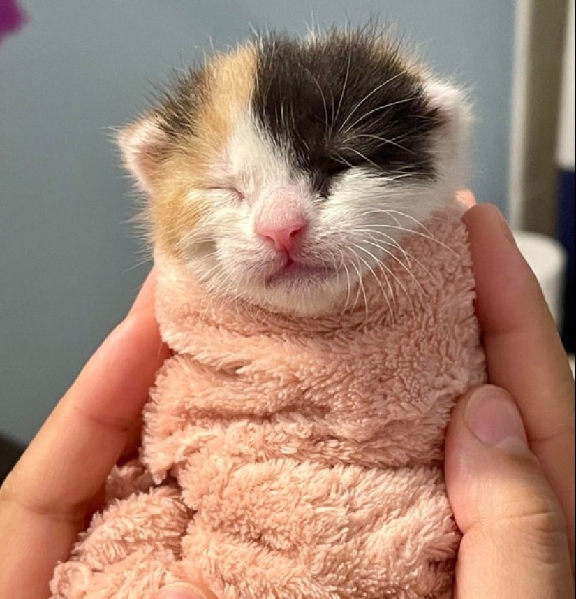 Moments of pure joy: 22 photos that will fill your heart with warmth Moments of pure joy: 22 photos that will fill your heart with warmth