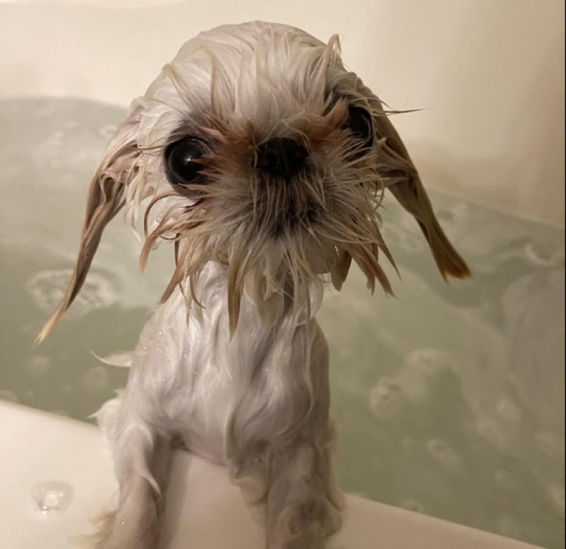 Moments of pure joy: 22 photos that will fill your heart with warmth Moments of pure joy: 22 photos that will fill your heart with warmth