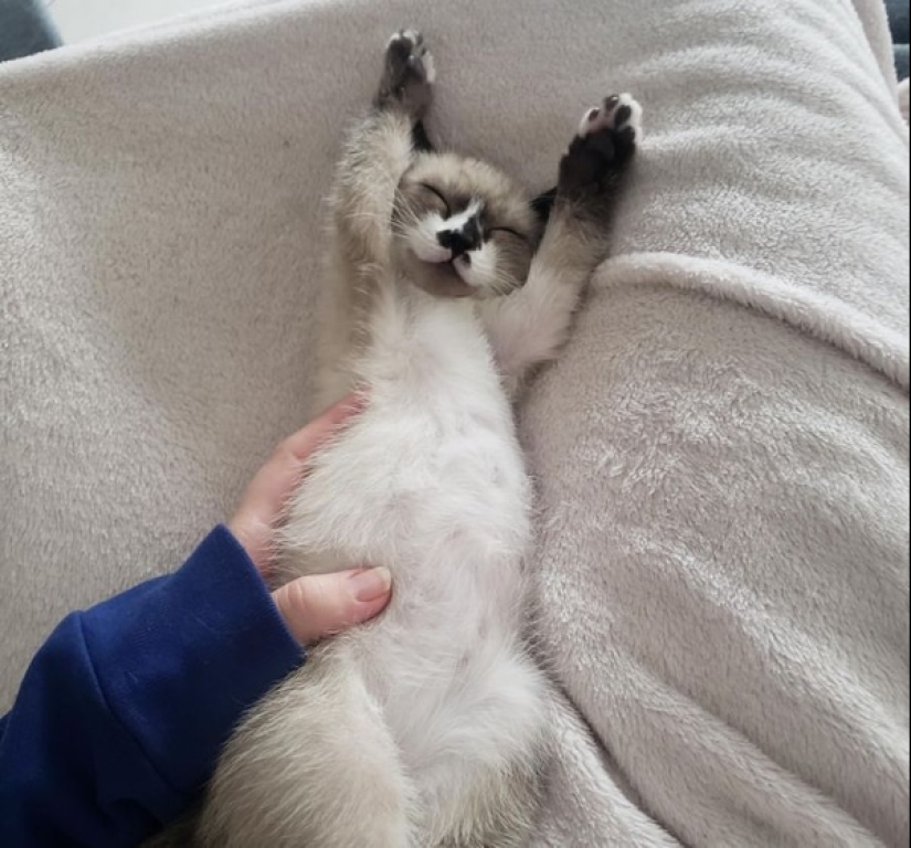 Moments of pure joy: 22 photos that will fill your heart with warmth Moments of pure joy: 22 photos that will fill your heart with warmth