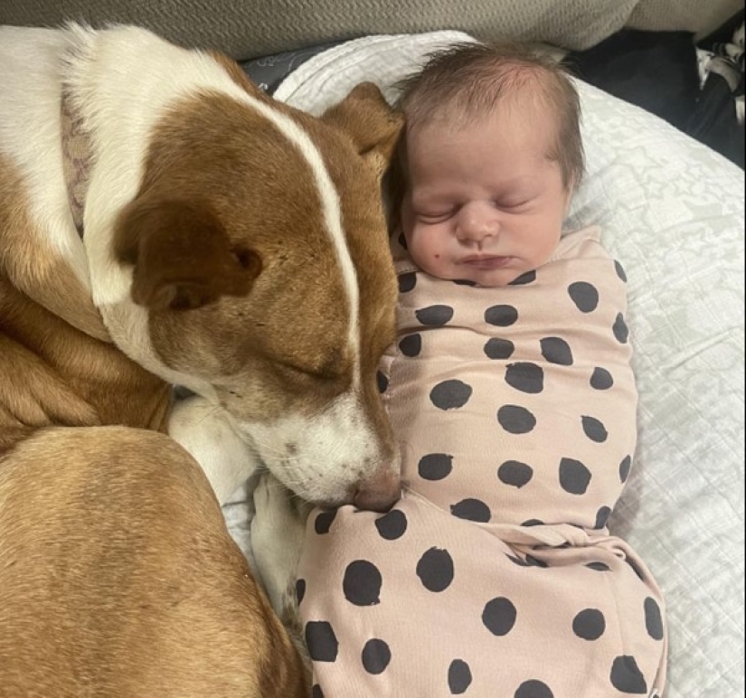 Moments of pure joy: 22 photos that will fill your heart with warmth Moments of pure joy: 22 photos that will fill your heart with warmth