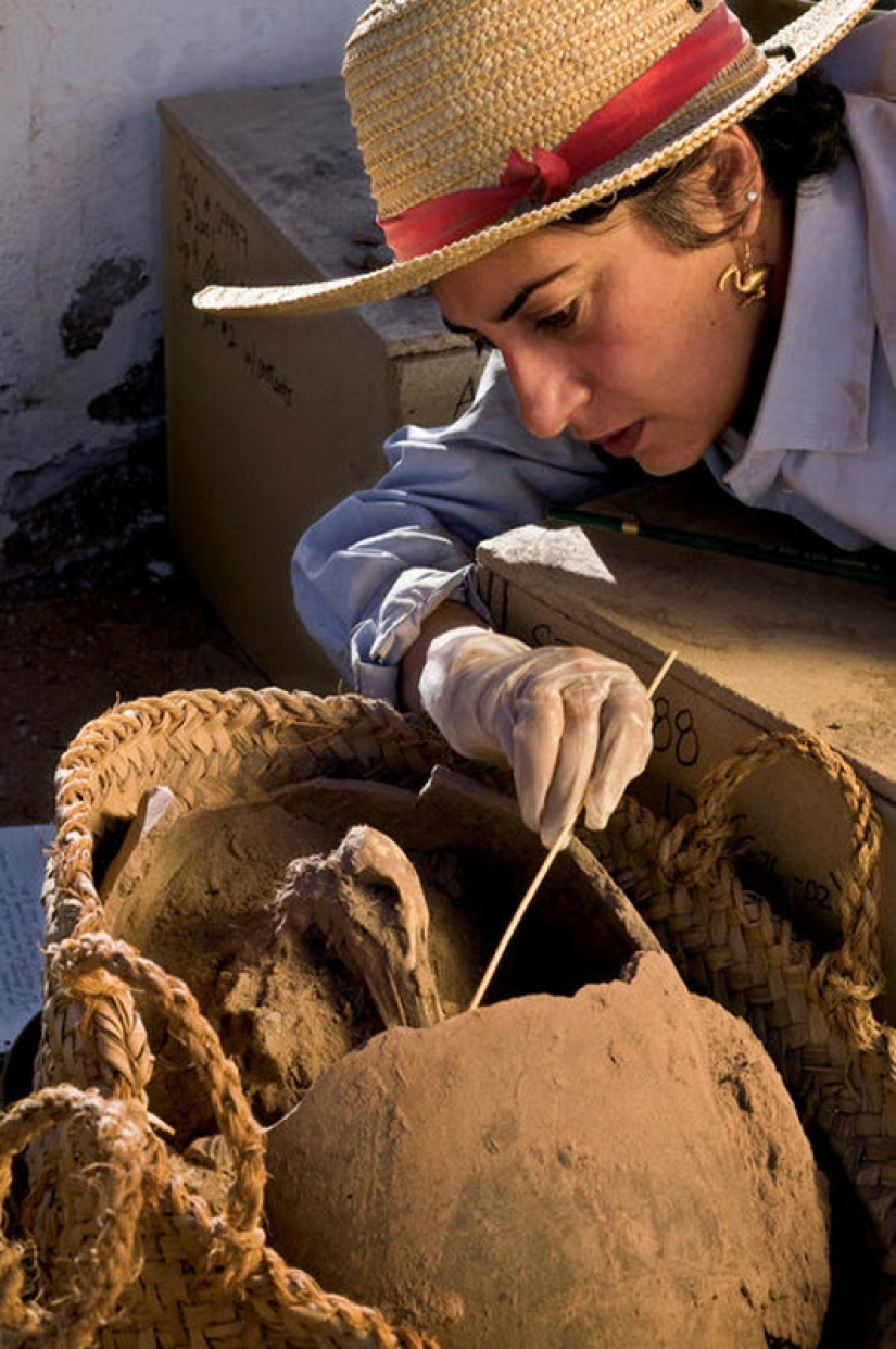 Momia... mascotas de los faraones