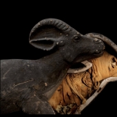 Momia... mascotas de los faraones