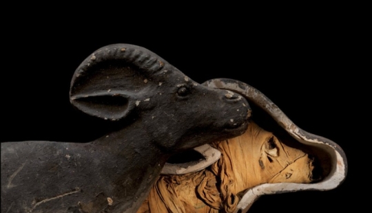 Momia... mascotas de los faraones Momia... mascotas de los faraones