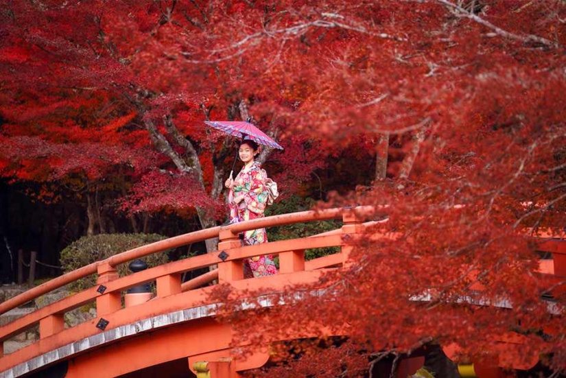 Momijigari: How the Japanese Turned Autumn Maple Admiration into an Art