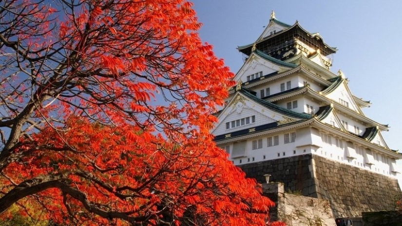 Momijigari: How the Japanese Turned Autumn Maple Admiration into an Art