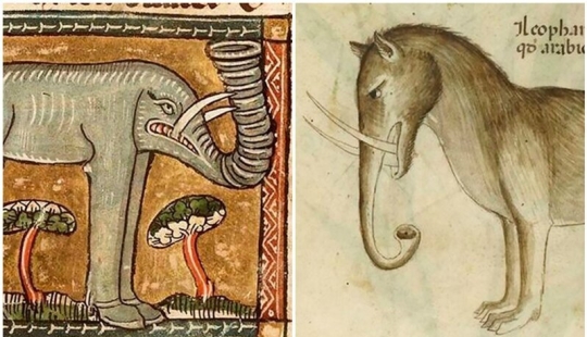 Monster nosed: in the middle Ages painted elephants Monster nosed: in the middle Ages painted elephants