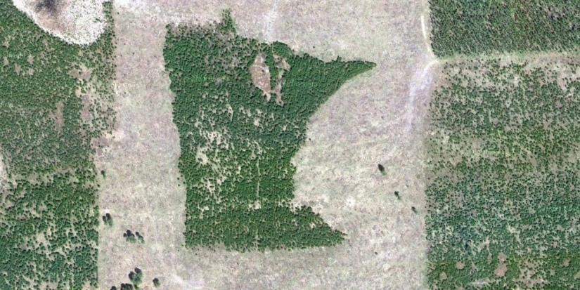 Monuments that produce oxygen