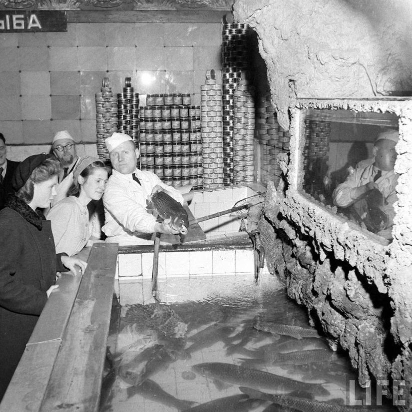 Moscú en 1947 a través de los ojos de un americano Moscú en 1947 a través de los ojos de un americano