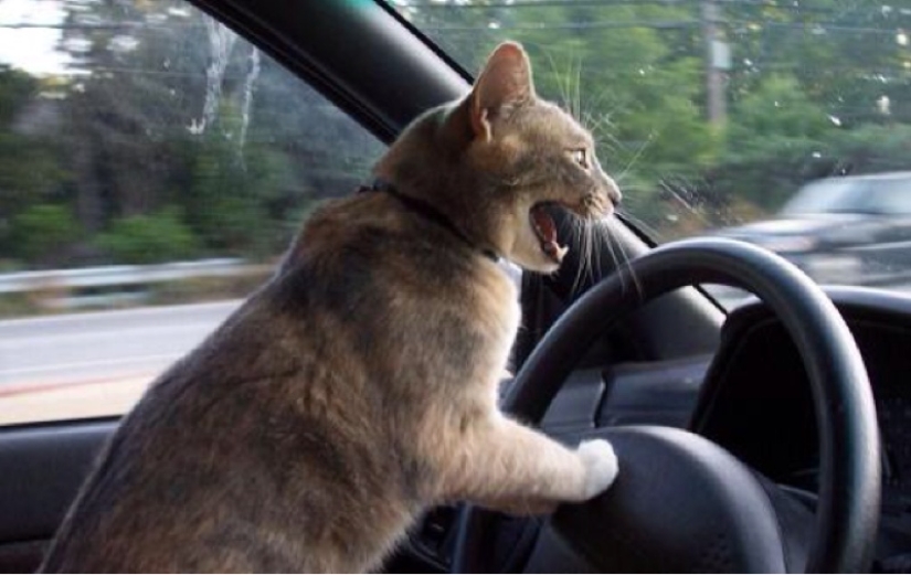 Motofoto tomadas en el momento justo Motofoto tomadas en el momento justo