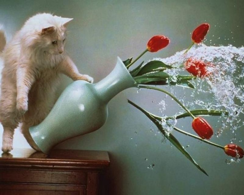 Motofoto tomadas en el momento justo Motofoto tomadas en el momento justo