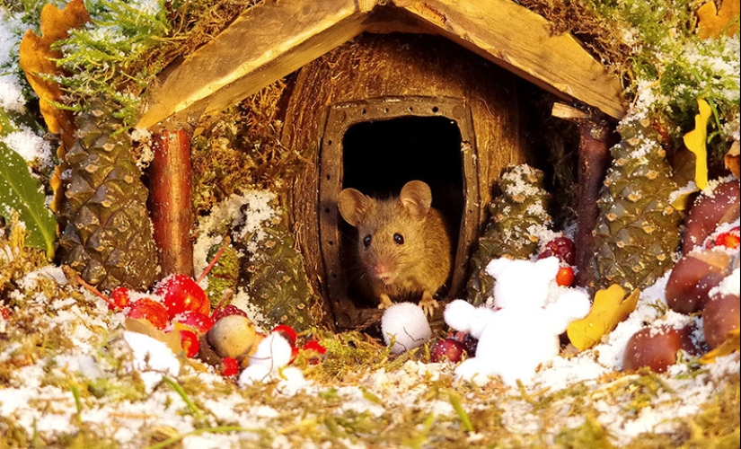 Mouse village British photographer Simon Dell