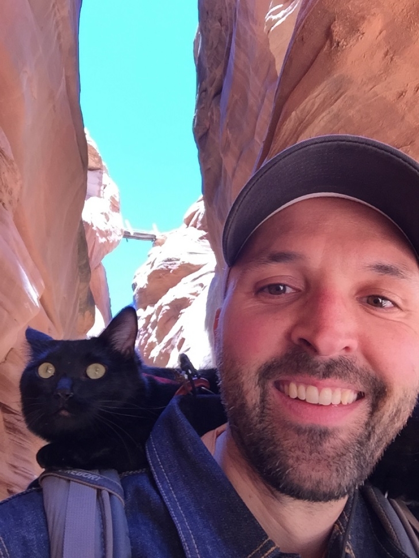 My climber: the world's first cat-climber