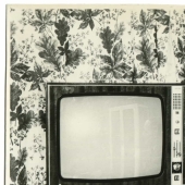 "My first telly": Soviet people and their coveted acquisition