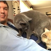 My house, my cat: photo of cats that walk on other people's homes