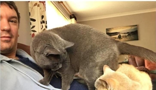 My house, my cat: photo of cats that walk on other people's homes