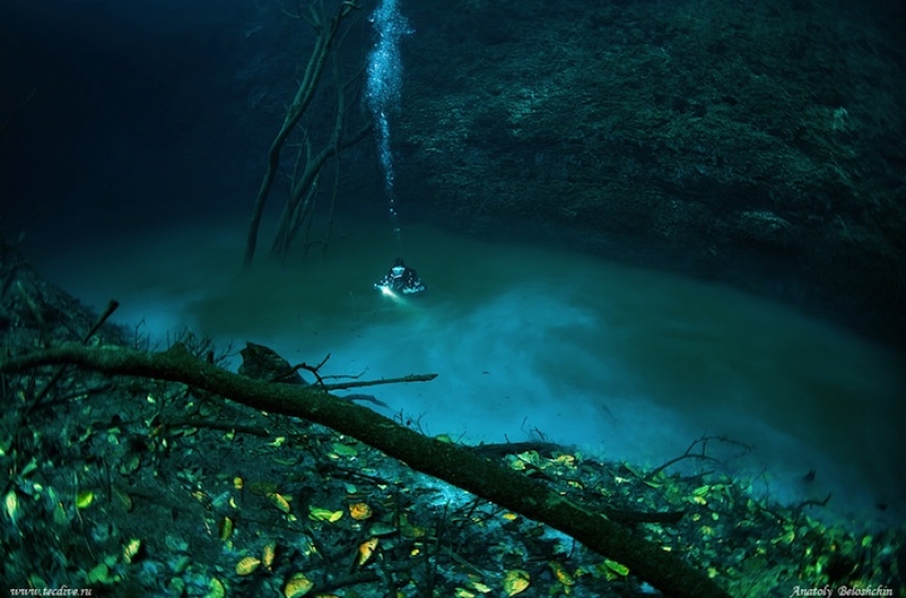 Mysterious underwater river flows along the ocean floor in Mexico Mysterious underwater river flows along the ocean floor in Mexico