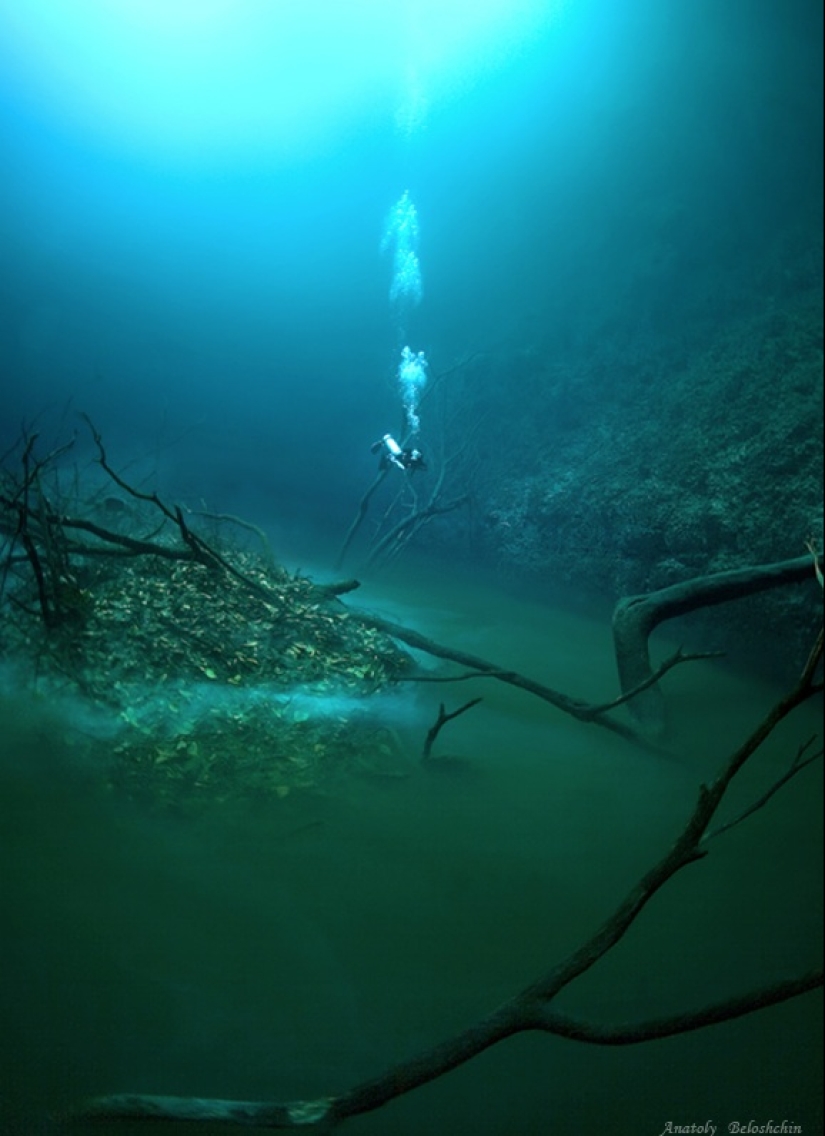 Mysterious underwater river flows along the ocean floor in Mexico Mysterious underwater river flows along the ocean floor in Mexico
