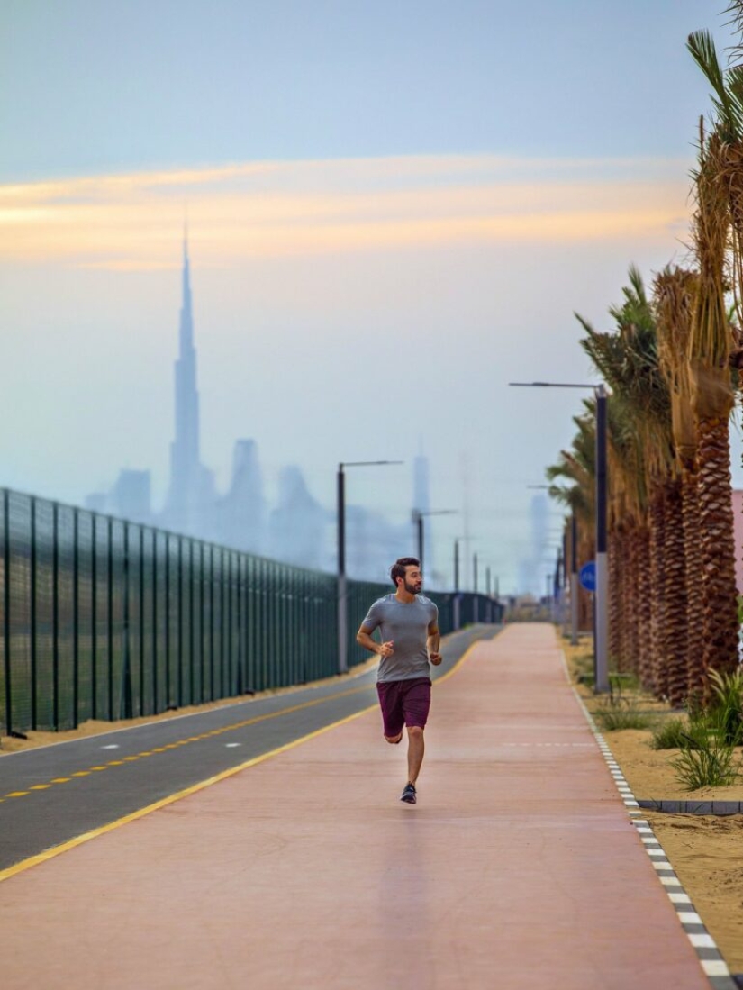 Nad Al Sheba 3: cómo es el verdadero infierno urbano