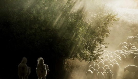 Nadie ha filmado la vida en el pueblo tan brillante Nadie ha filmado la vida en el pueblo tan brillante