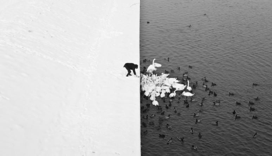 Natural minimalism Natural minimalism