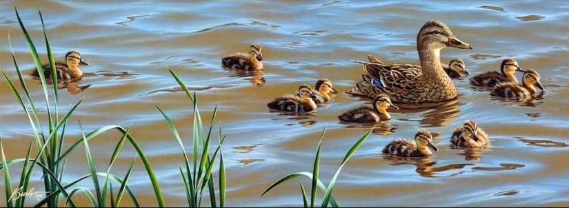 Nature and wildlife in the work of Darrell Bush: beauty in every detail Nature and wildlife in the work of Darrell Bush: beauty in every detail