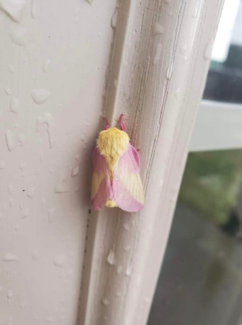 Nature is the best artist, and that's 17 evidence Nature is the best artist, and that's 17 evidence