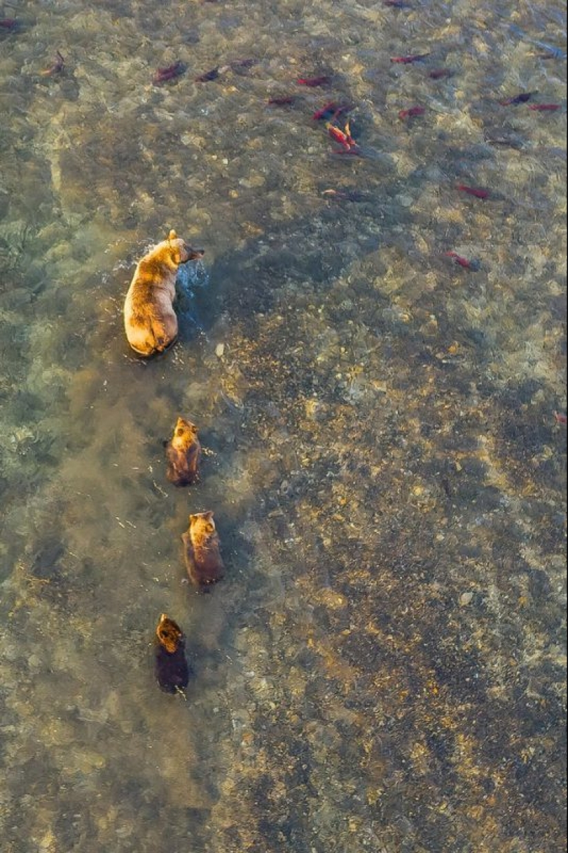 Nature is the best artist, and that's 17 evidence Nature is the best artist, and that's 17 evidence