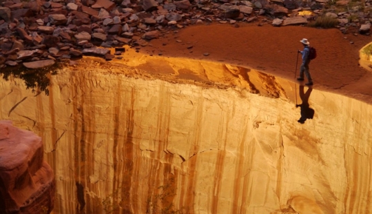 Nature's surprises - these unrealistic photos will make you want to look twice