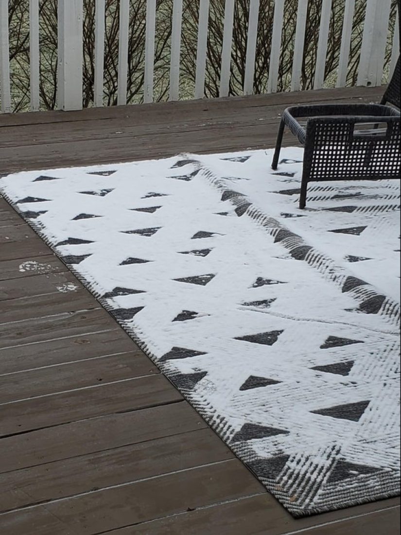 Neumococo de felpa y otras 22 curiosidades que pocas personas han visto