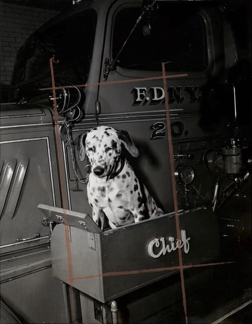 New York in the 1940s through the lens of Weegee, the master of crime photography.