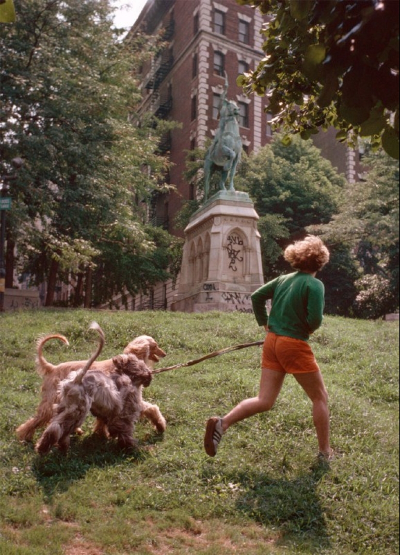 New York, which learned only after 40 years New York, which learned only after 40 years