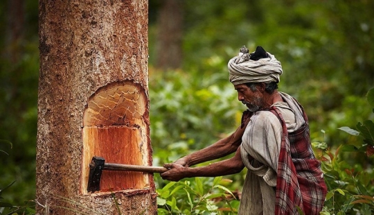 Nómadas de raute: cómo vive la tribu primitiva, cuyos días están contados