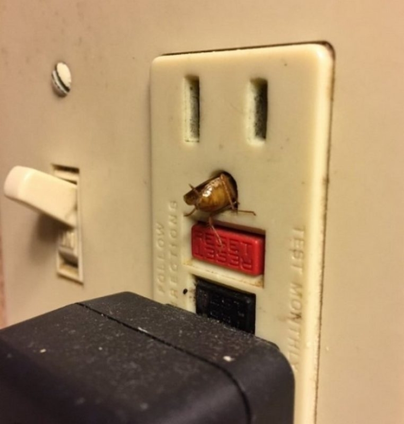 No de lujo: habitaciones de hotel de las que querrá escapar lo más rápido posible