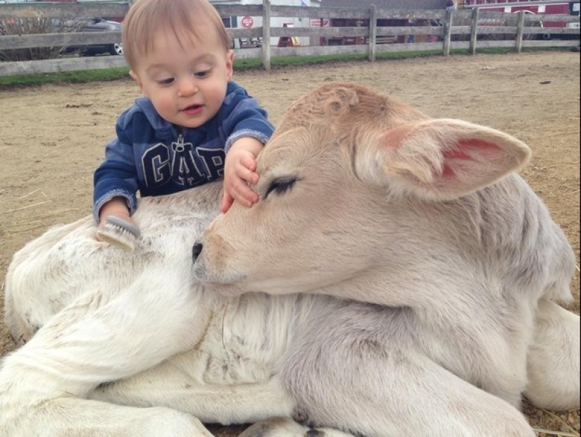 No estés triste: estos animales te recordarán que el mundo es hermoso después de todo
