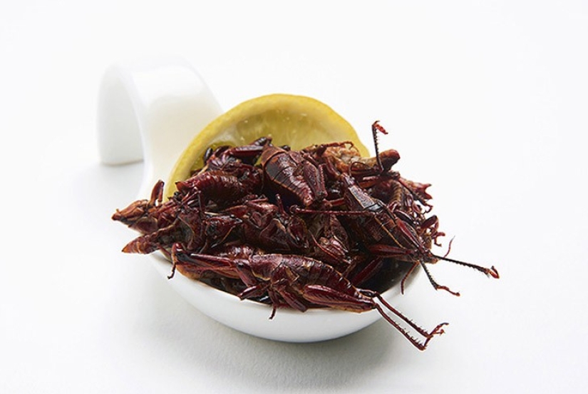 ¡No me lo como! 10 platos impactantes de todo el mundo