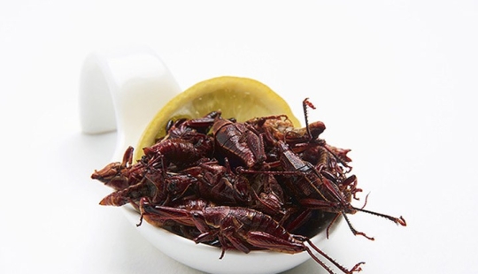 ¡No me lo como! 10 platos impactantes de todo el mundo