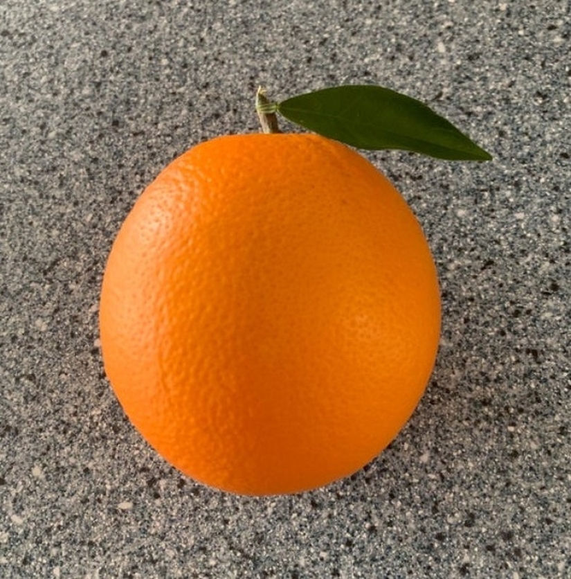 No puedes quitar la vista de encima: 22 impresionantes fotos de comida que no puedes evitar compartir No puedes quitar la vista de encima: 22 impresionantes fotos de comida que no puedes evitar compartir