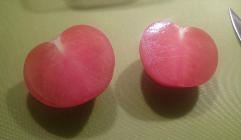 No puedes quitar la vista de encima: 22 impresionantes fotos de comida que no puedes evitar compartir No puedes quitar la vista de encima: 22 impresionantes fotos de comida que no puedes evitar compartir