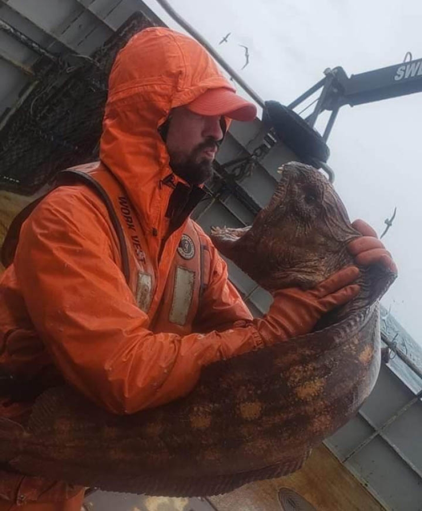 ¡No se puede jugar con la naturaleza! 22 fotos que te convencerán de esto