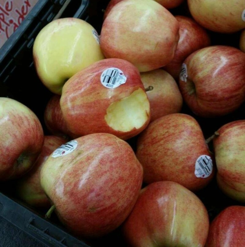 "No shame, no conscience!": 20+ people who will annoy you with their arrogance