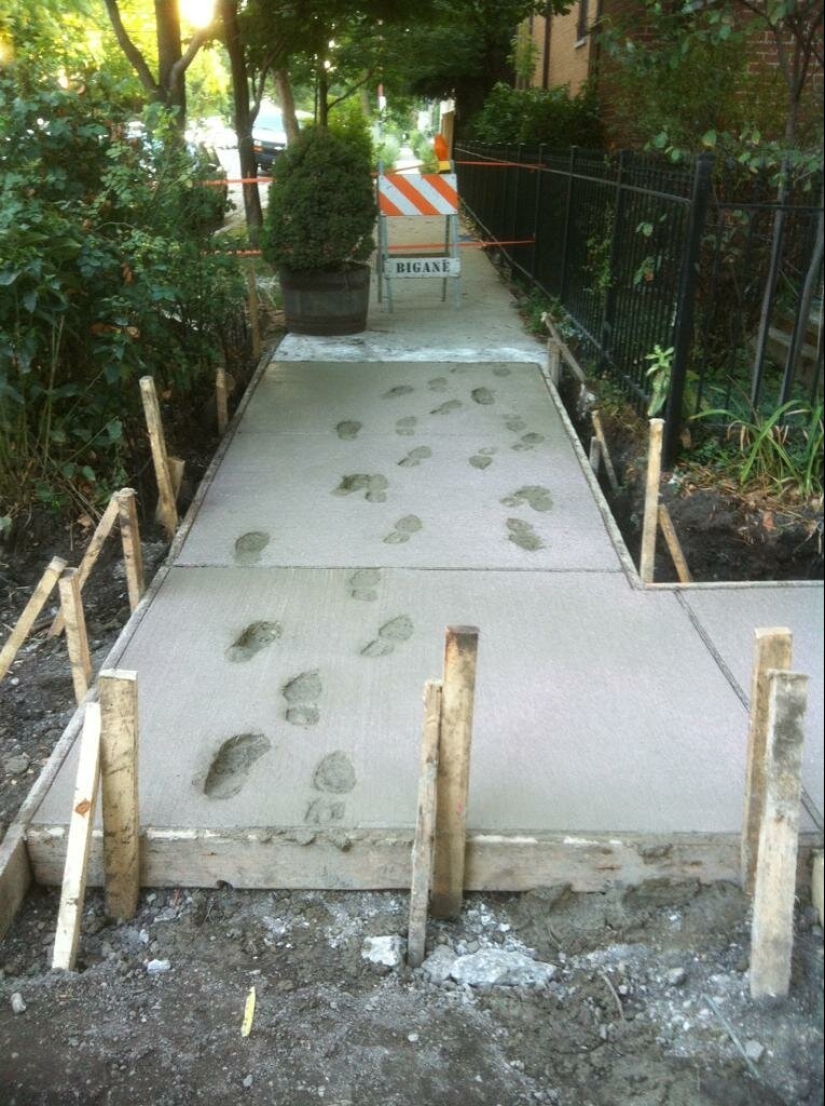 "No shame, no conscience!": 20+ people who will annoy you with their arrogance